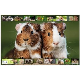   Asztali könyöklő 33x55 cm Herma "Animal Worlds" Rágcsálók