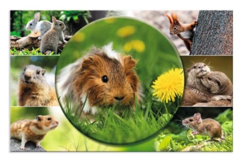 Asztali könyöklő 33x55 cm Herma "Animal Worlds" Rágcsálók