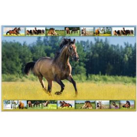   Asztali könyöklő 33x55 cm Herma "Animal Worlds" Lovak