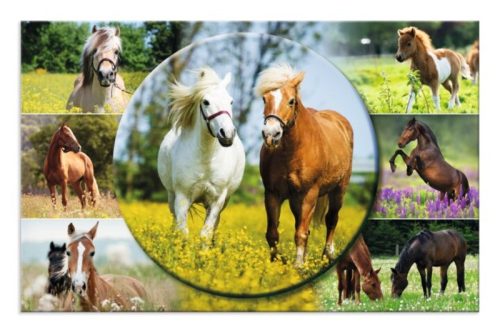 Asztali könyöklő 33x55 cm Herma "Animal Worlds" Lovak