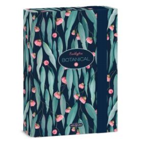 Füzetbox ARS UNA A/5 Eucalyptus