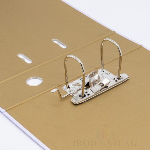 Iratrendező A/4, 75 mm Pukka Pad "Rochelle & Jess"