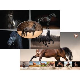 Asztali könyöklő 54,5x34 cm T-Creativ "Horses"