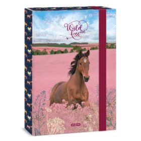 Füzetbox ARS UNA A/4 Wild and Free 