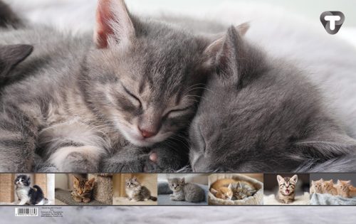 Asztali könyöklő 54,5x34 cm T-Creativ "Cats