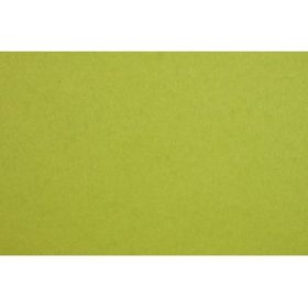   Karton FABRIANO kétoldalas A/4 200g (20ív/csg) lime zöld (658)