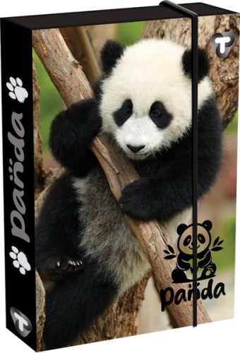 Füzetbox A/4 60 mm T-Creativ