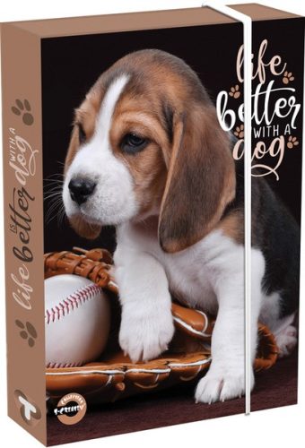 Füzetbox A/4 60 mm T-Creativ