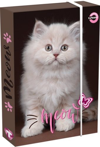 Füzetbox A/4 60 mm T-Creativ